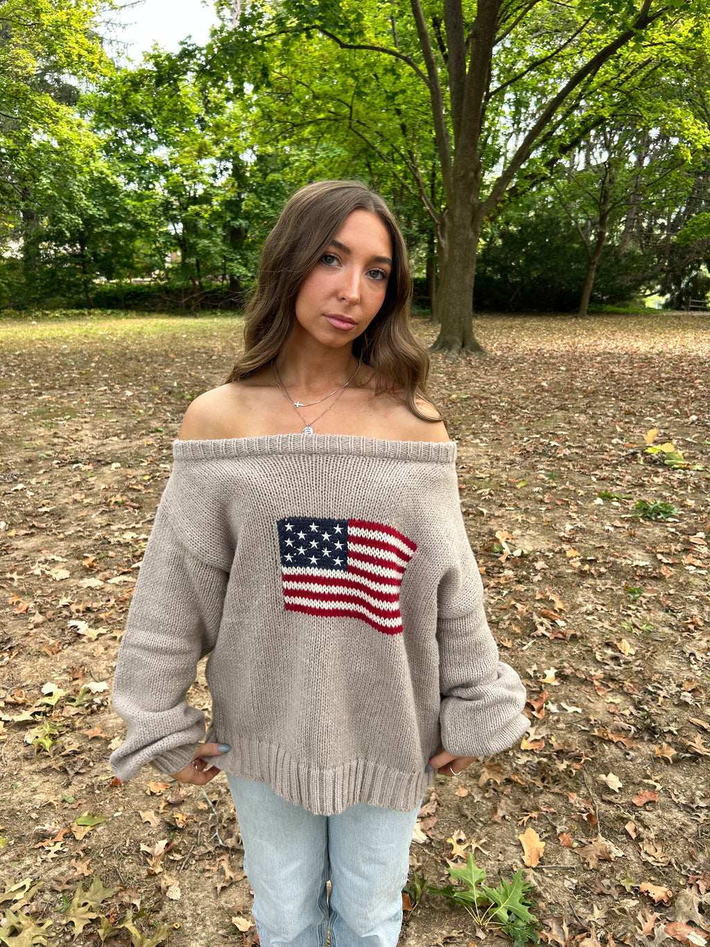 american flag sweater